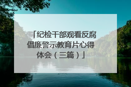 纪检干部观看反腐倡廉警示教育片心得体会(三篇)