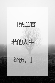 纳兰容若的人生经历。