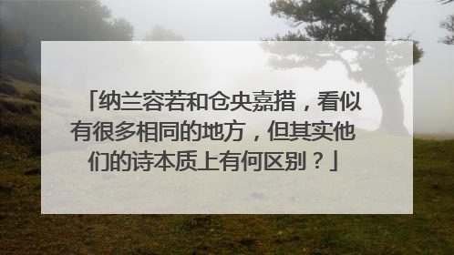 纳兰容若和仓央嘉措，看似有很多相同的地方，但其实他们的诗本质上有何区别？