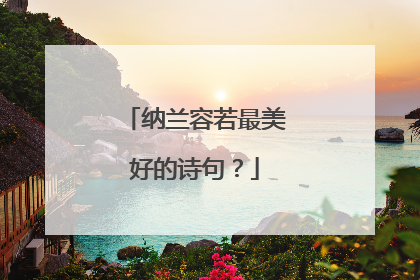 纳兰容若最美好的诗句?