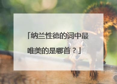 纳兰性德的词中最唯美的是哪首？