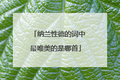 纳兰性德的词中最唯美的是哪首