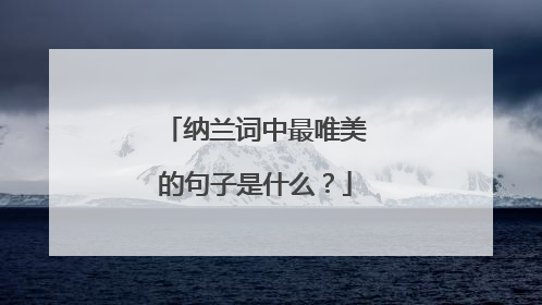 纳兰词中最唯美的句子是什么?