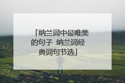 纳兰词中最唯美的句子 纳兰词经典词句节选