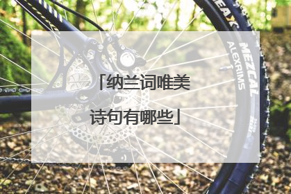 纳兰词唯美诗句有哪些