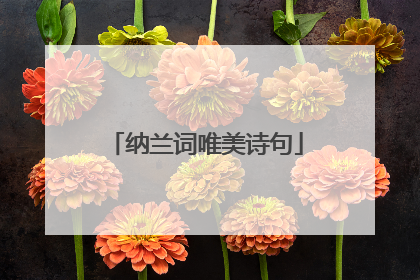 纳兰词唯美诗句