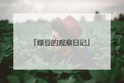 绿豆的观察日记