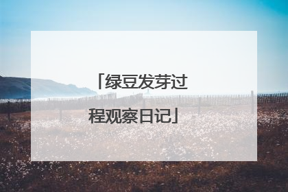 绿豆发芽过程观察日记