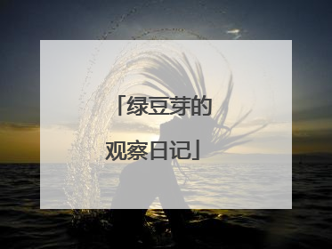 绿豆芽的观察日记