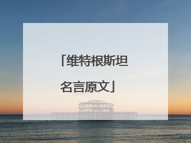 维特根斯坦名言原文