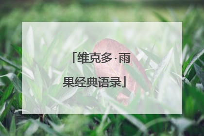 维克多·雨果经典语录