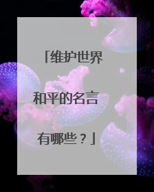 维护世界和平的名言有哪些？