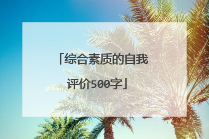 综合素质的自我评价500字