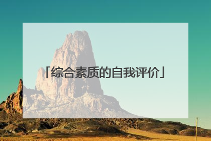 综合素质的自我评价