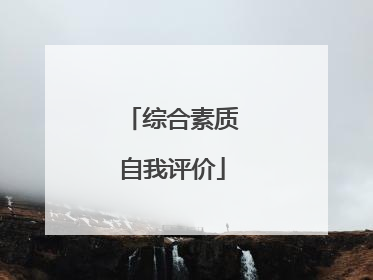 综合素质自我评价