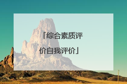 综合素质评价自我评价