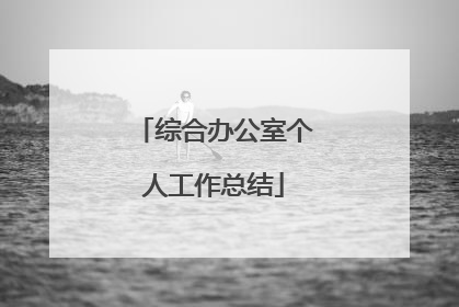 综合办公室个人工作总结