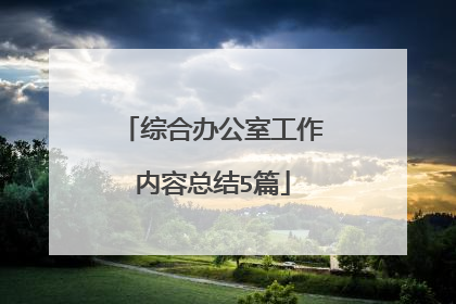 综合办公室工作内容总结5篇