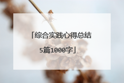 综合实践心得总结5篇1000字