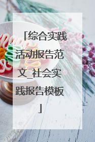 综合实践活动报告范文_社会实践报告模板