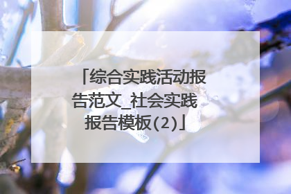 综合实践活动报告范文_社会实践报告模板(2)