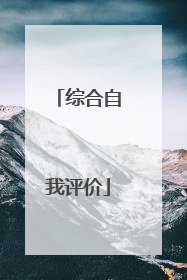综合自我评价