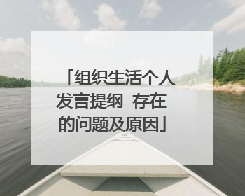 组织生活个人发言提纲 存在的问题及原因