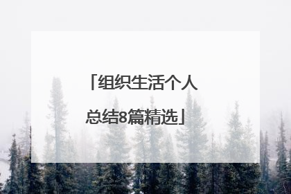 组织生活个人总结8篇精选