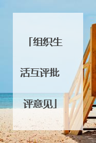 组织生活互评批评意见