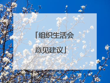 组织生活会意见建议