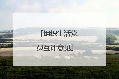 组织生活党员互评意见