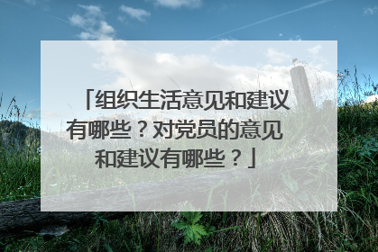 组织生活意见和建议有哪些?对党员的意见和建议有哪些?