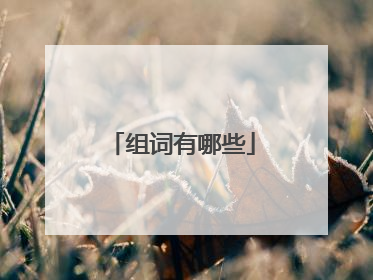 组词有哪些