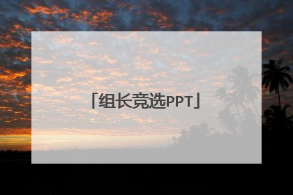 组长竞选PPT