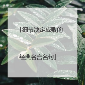 细节决定成败的经典名言名句