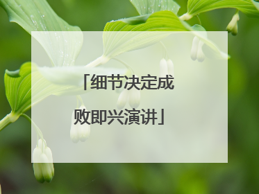 细节决定成败即兴演讲