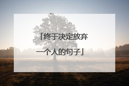 终于决定放弃一个人的句子