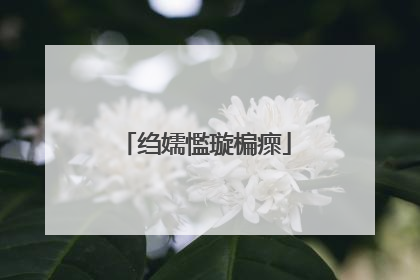 绉嬬懢璇楄瘝