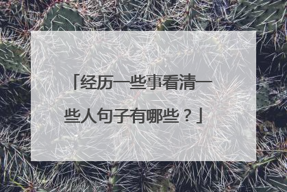 经历一些事看清一些人句子有哪些?