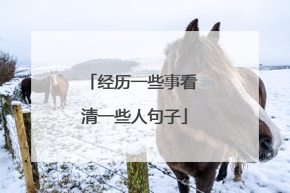 经历一些事看清一些人句子