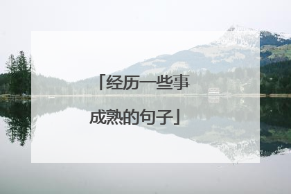 经历一些事成熟的句子