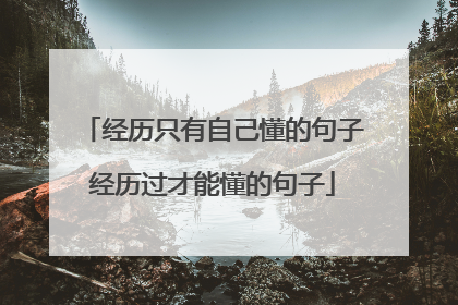 经历只有自己懂的句子经历过才能懂的句子