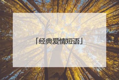 经典爱情短语