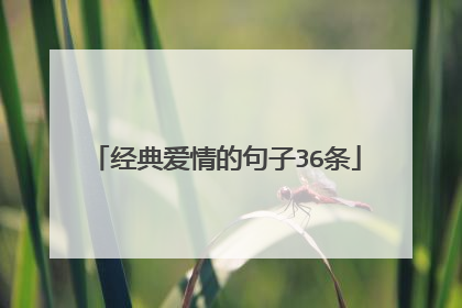 经典爱情的句子36条