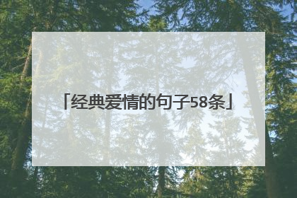 经典爱情的句子58条