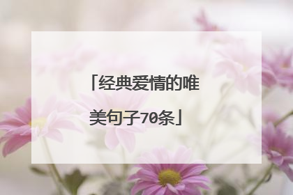经典爱情的唯美句子70条
