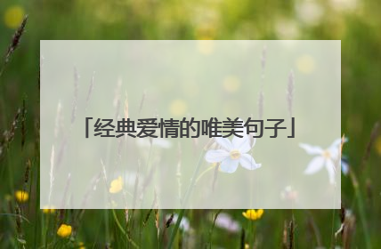 经典爱情的唯美句子