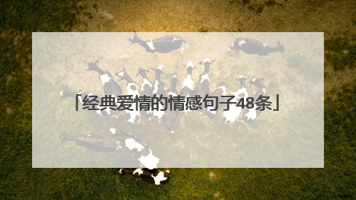 经典爱情的情感句子48条