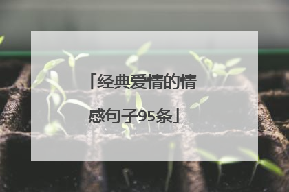 经典爱情的情感句子95条
