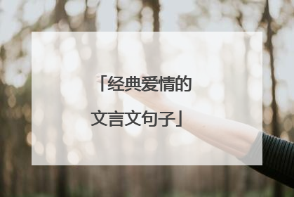 经典爱情的文言文句子